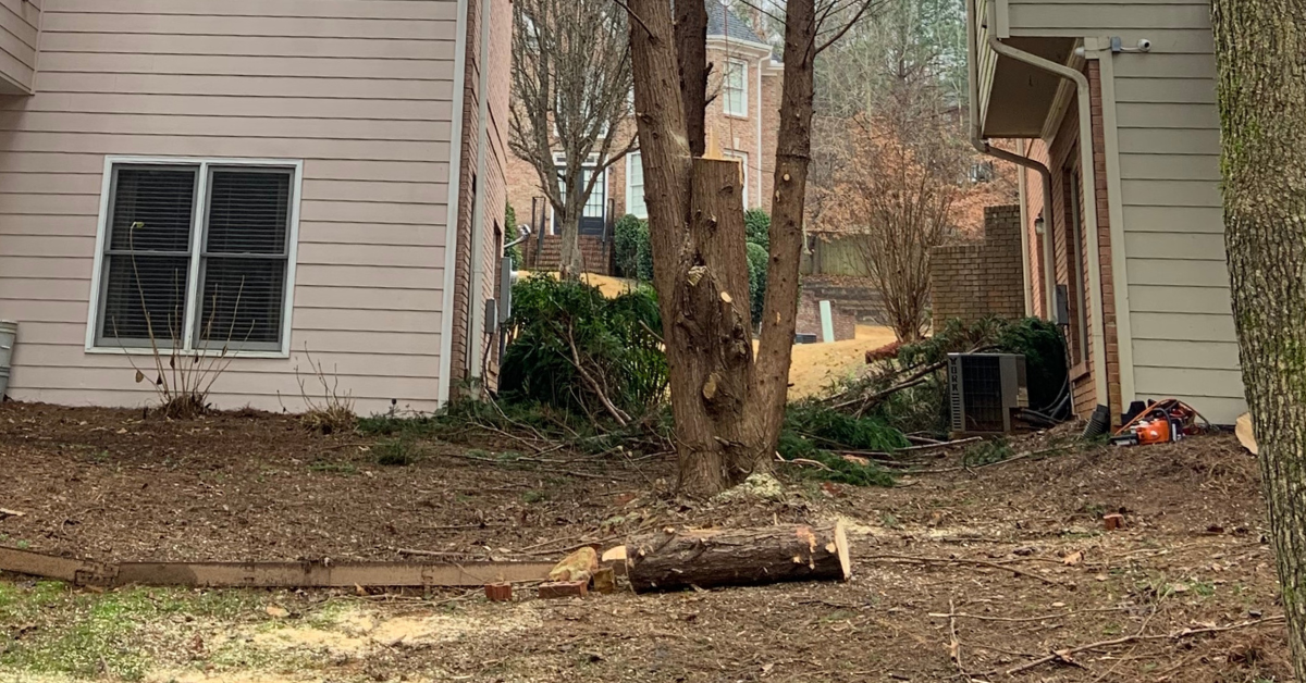 Border Disputes in Lawrenceville: Can You Trim Your Neighbor's Overhanging Branches?